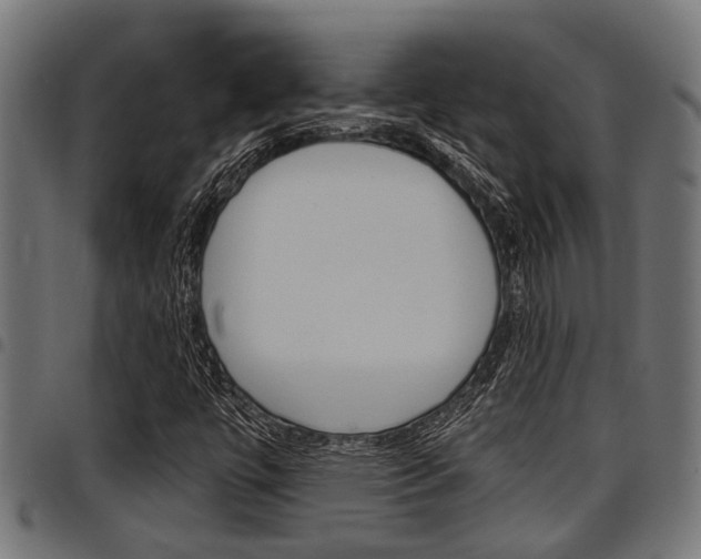 X0000098011447200803280720