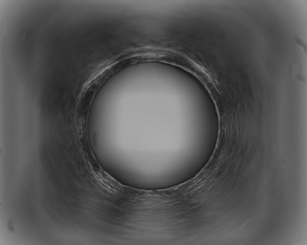 X0000098011448200803280720