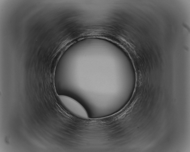 X0000098011449200803280720