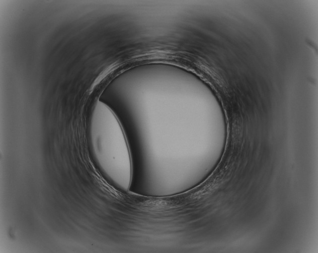 X0000098011450200803280720