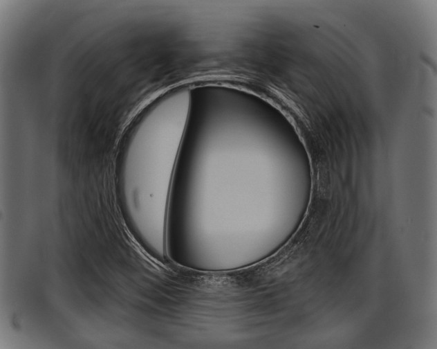 X0000098011452200803280720