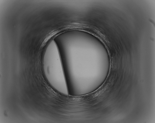 X0000098011453200803280720