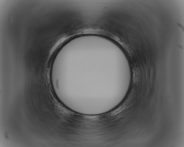 X0000098011454200803280720