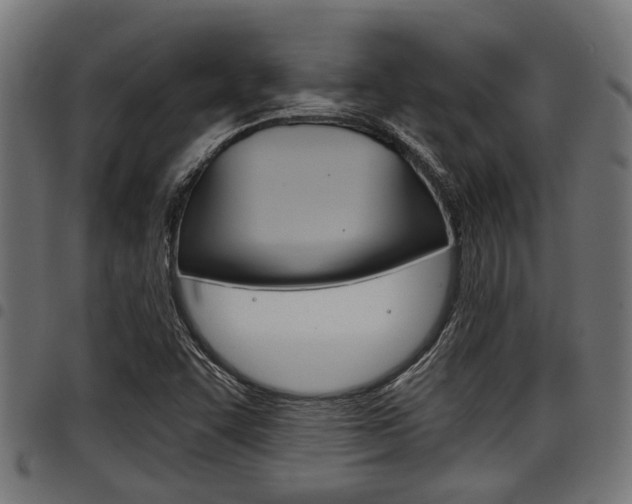 X0000098011455200803280720