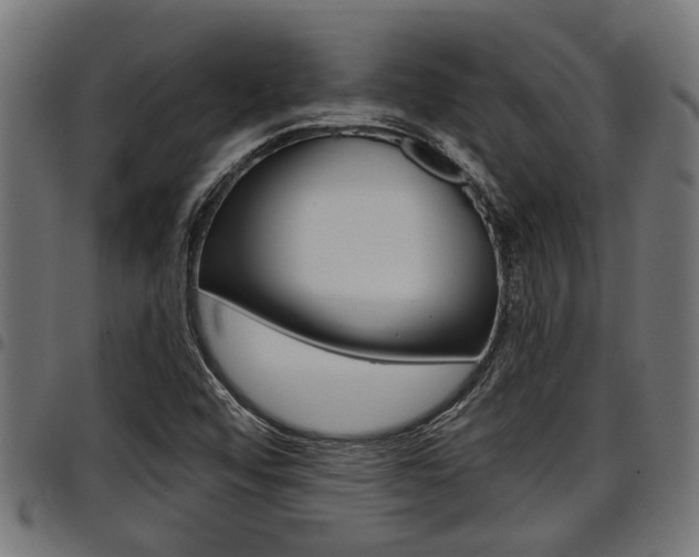 X0000098011456200803280720