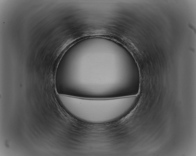 X0000098011457200803280720