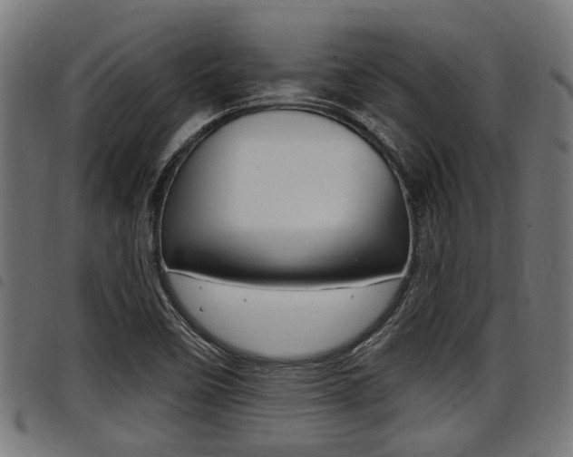 X0000098011458200803280719