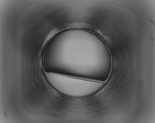 X0000098011459200803280719