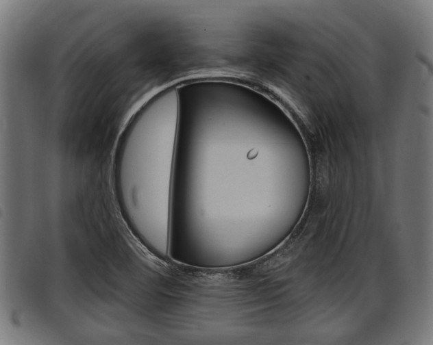 X0000098011460200803280719