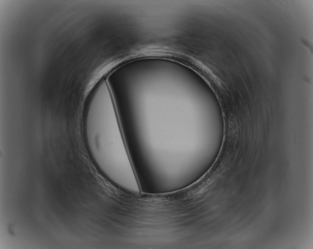 X0000098011461200803280719