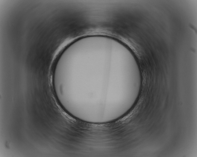 X0000098011462200803280719