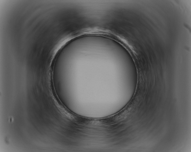 X0000098011463200803280719