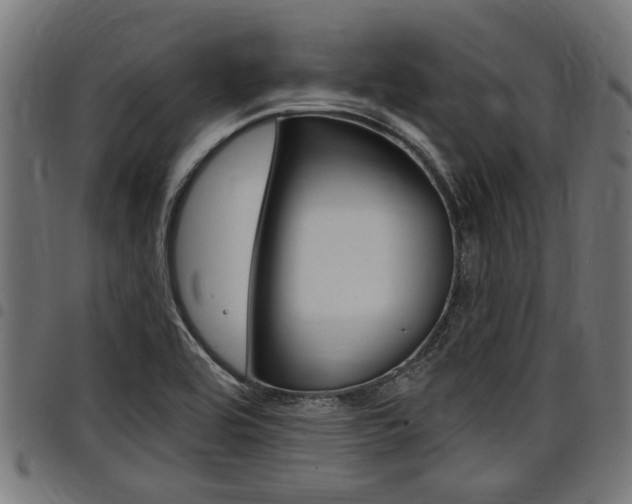 X0000098011464200803280719