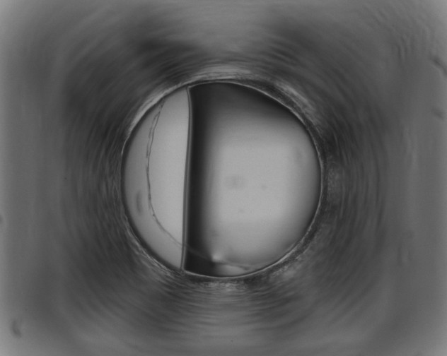 X0000098011465200803280719