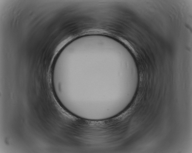 X0000098011466200803280719