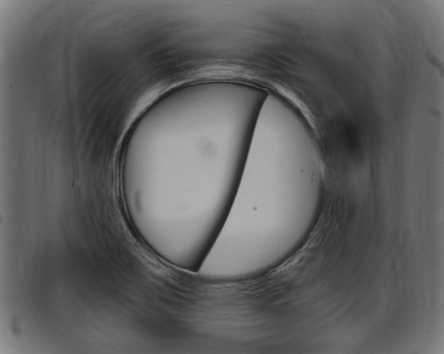 X0000098011467200803280719
