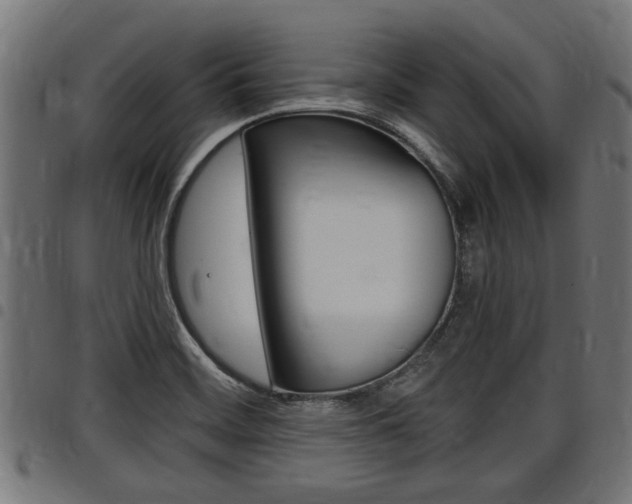 X0000098011468200803280719