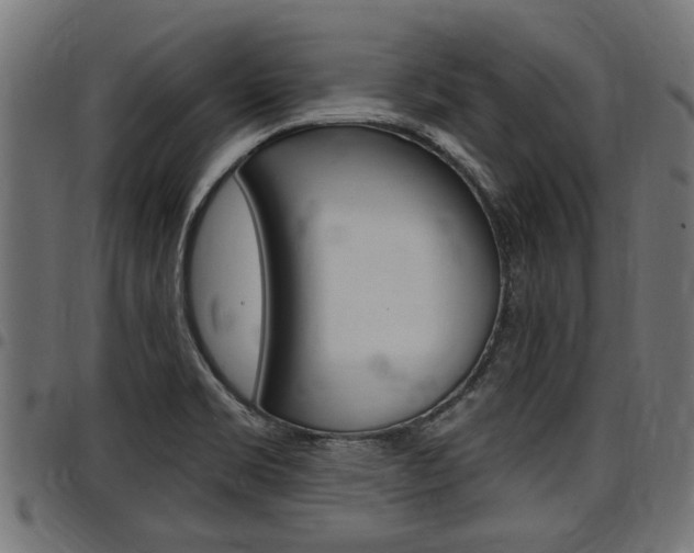 X0000098011469200803280719