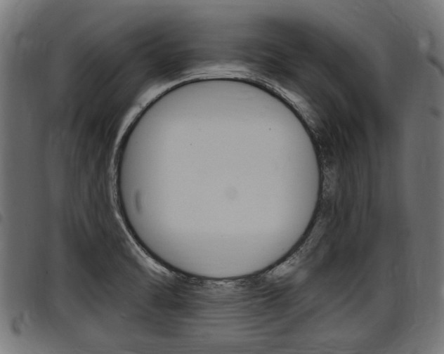X0000098011470200803280719