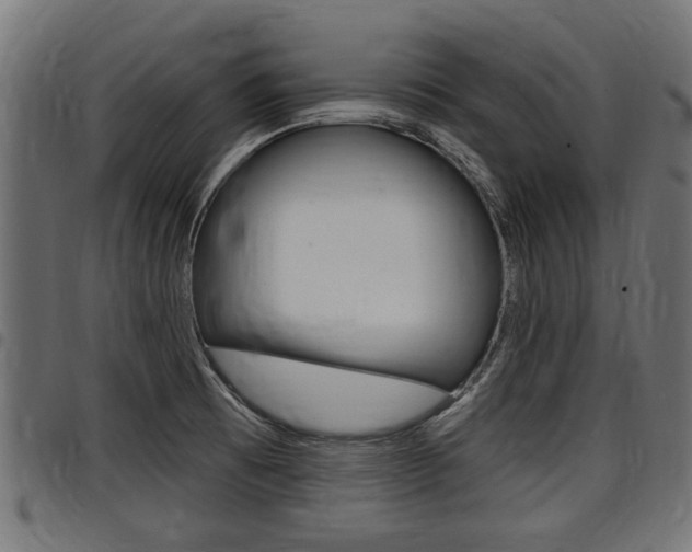 X0000098011473200803280719