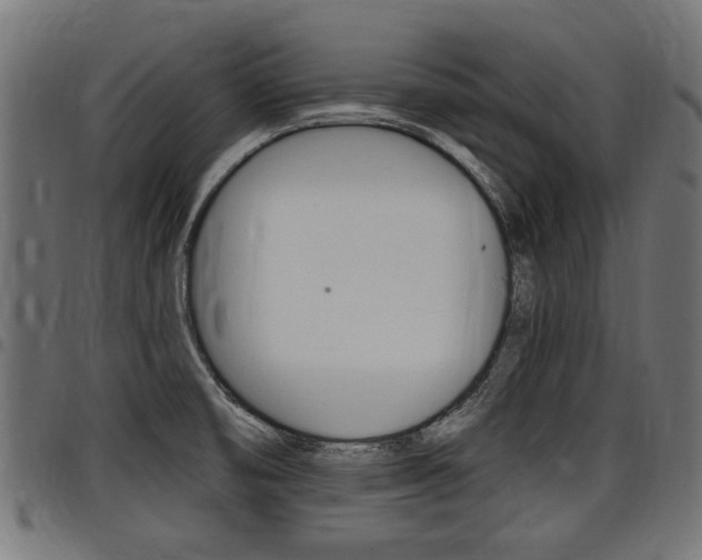 X0000098011474200803280719