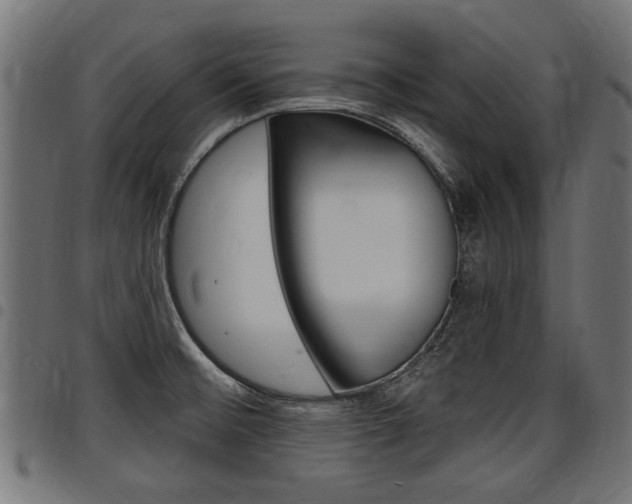 X0000098011476200803280719