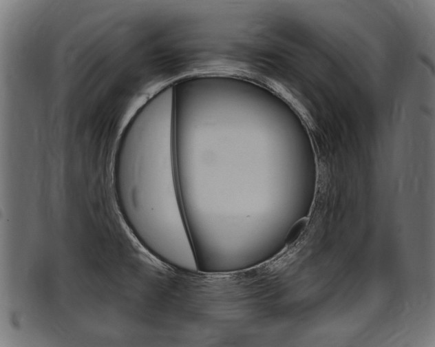 X0000098011477200803280719