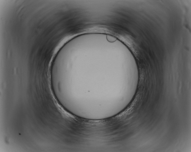 X0000098011478200803280719