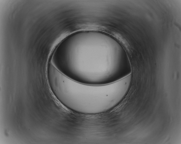 X0000098011480200803280719