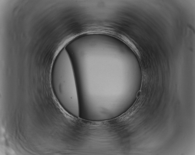 X0000098011485200803280719