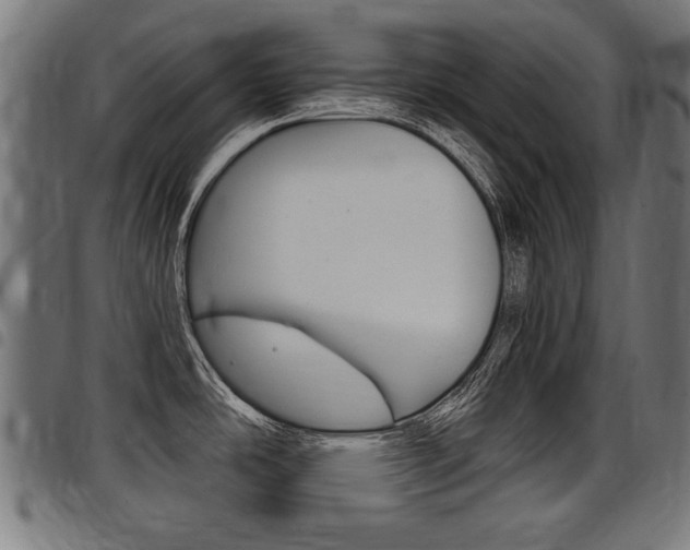 X0000098011486200803280719