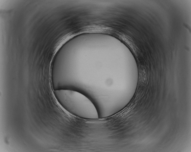 X0000098011487200803280719