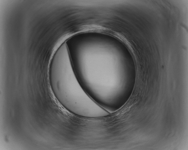 X0000098011488200803280719