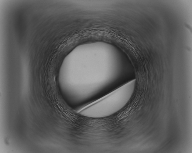X0000098011489200803280718