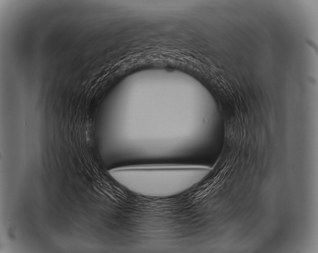 X0000098011490200803280718
