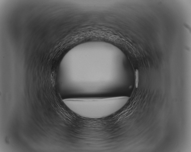 X0000098011491200803280718