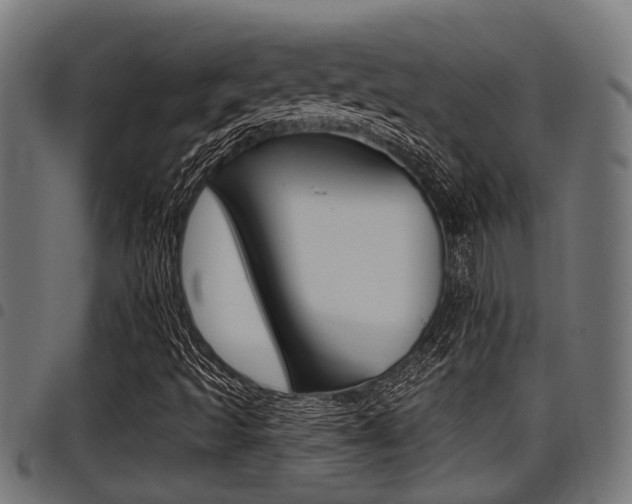 X0000098011493200803280718