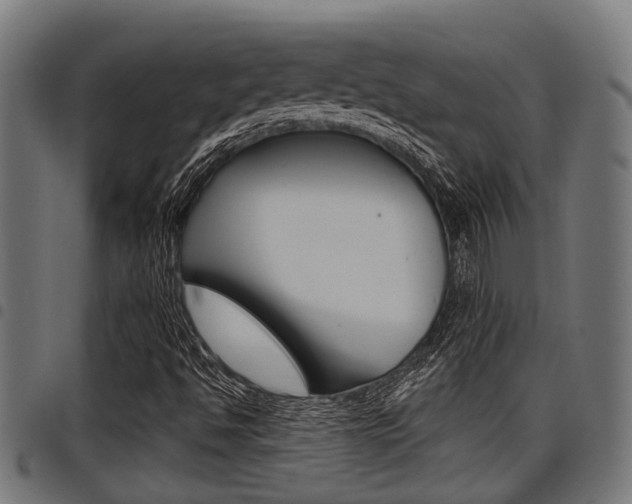 X0000098011494200803280718