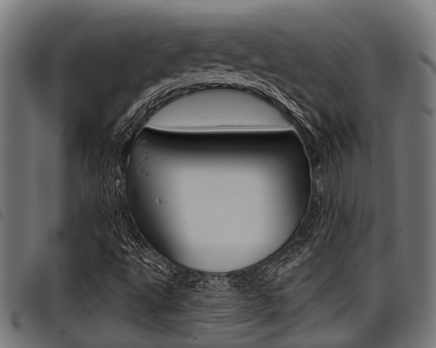 X0000098011495200803280718