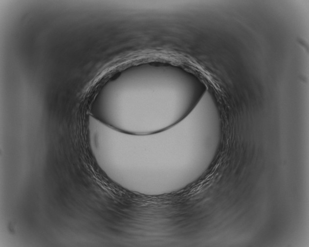 X0000098011496200803280718