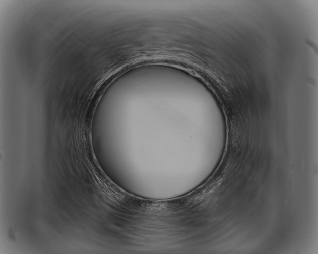 X0000098011497200803280718