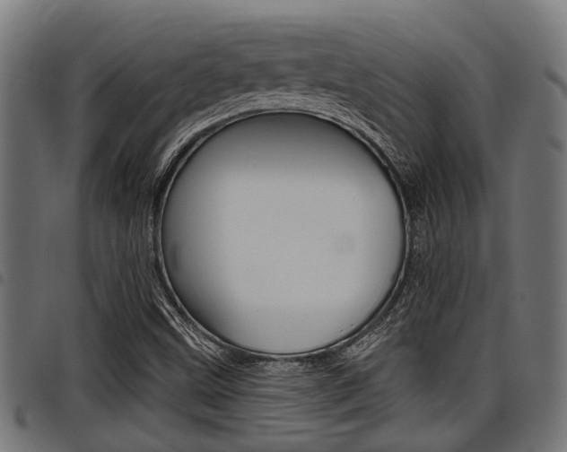 X0000098011499200803280718
