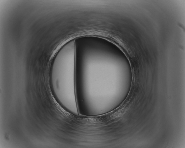 X0000098011500200803280718
