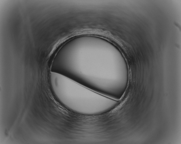X0000098011501200803280718