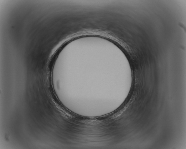 X0000098011502200803280718