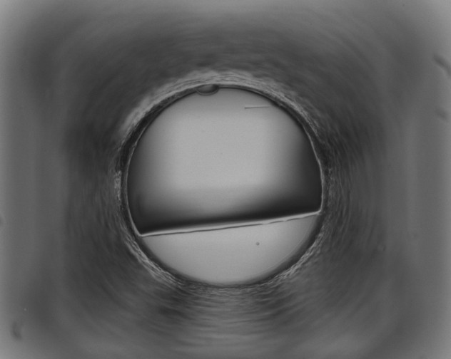 X0000098011503200803280718