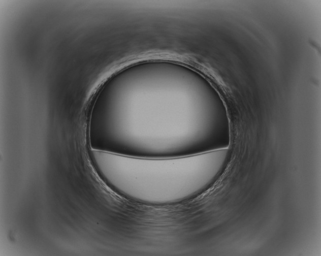 X0000098011504200803280719