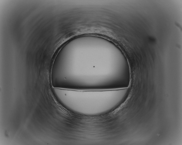 X0000098011505200803280719