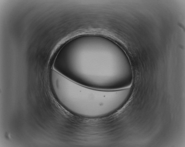 X0000098011506200803280719