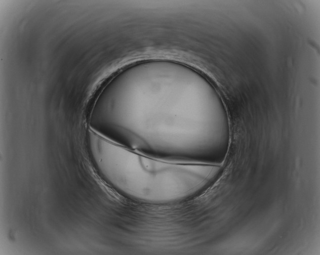 X0000098011507200803280719